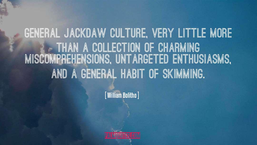 William Bolitho Quotes: General jackdaw culture, very little