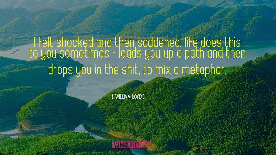 William Boyd Quotes: I felt shocked and then