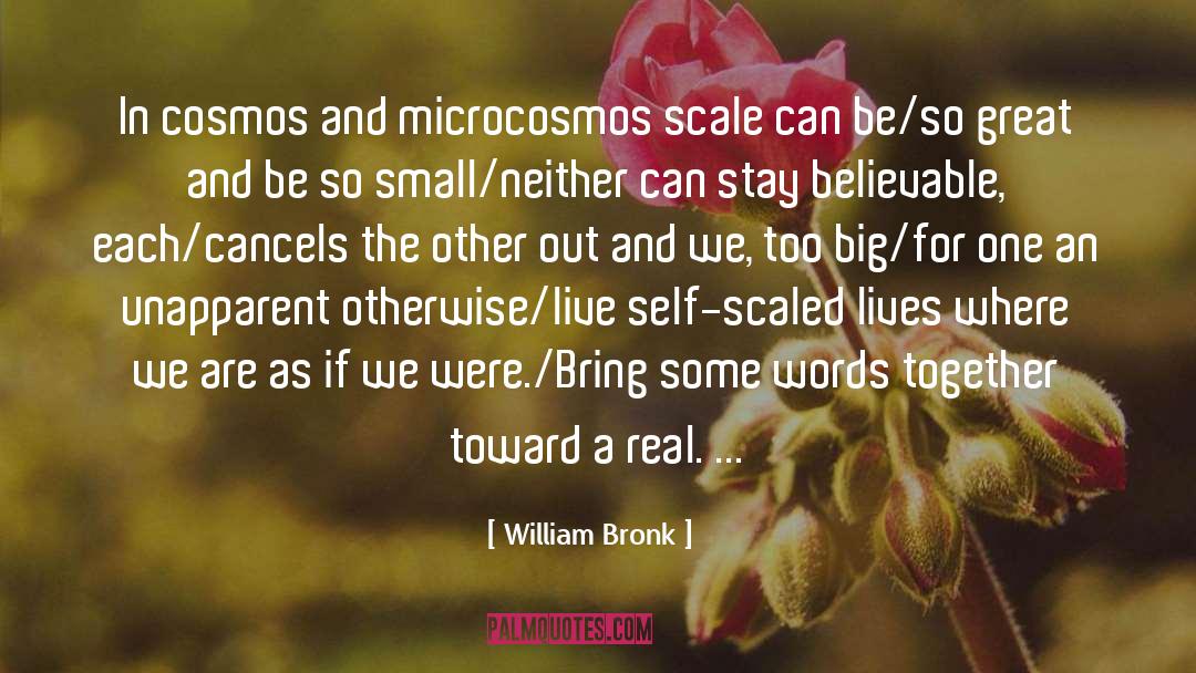 William Bronk Quotes: In cosmos and microcosmos scale