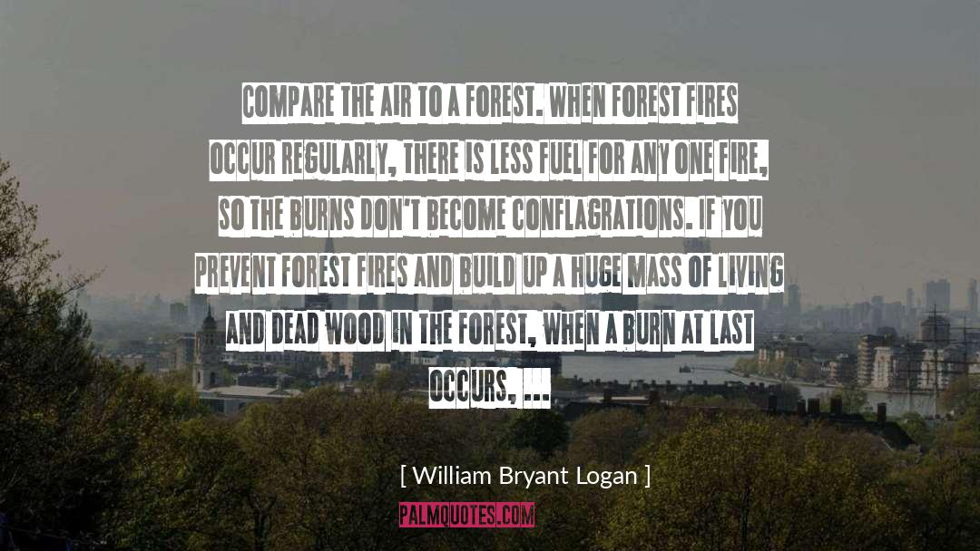 William Bryant Logan Quotes: Compare the air to a