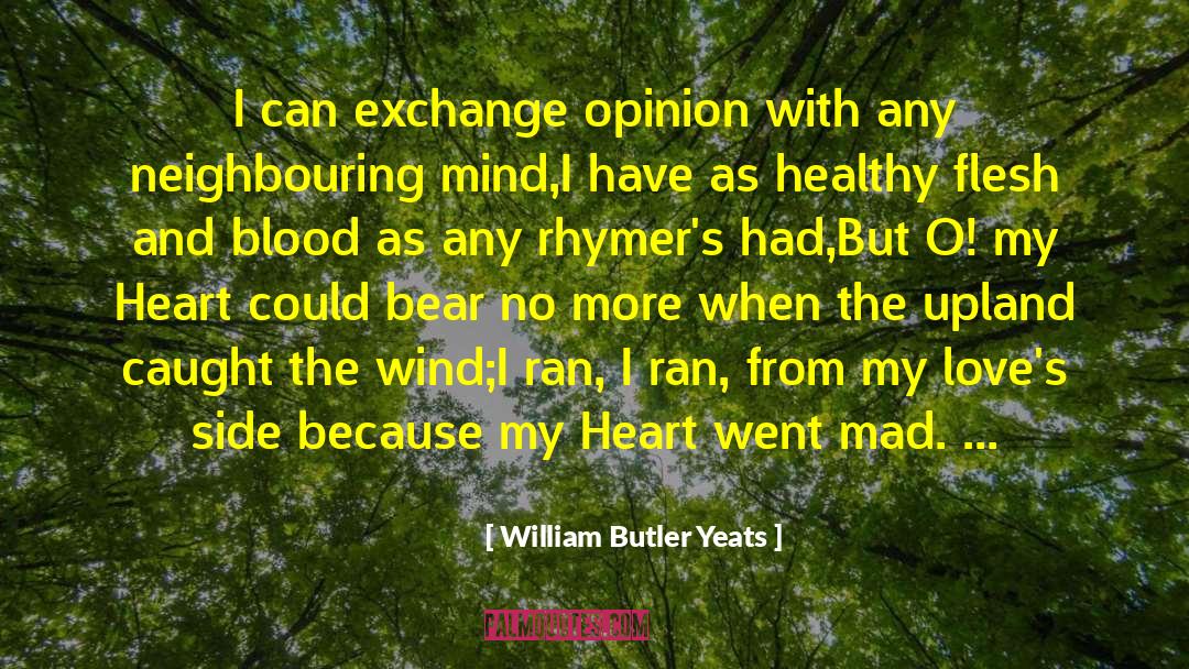 William Butler Yeats Quotes: I can exchange opinion with