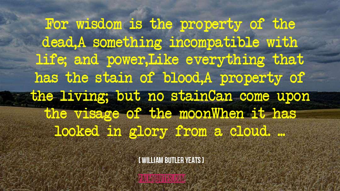 William Butler Yeats Quotes: For wisdom is the property