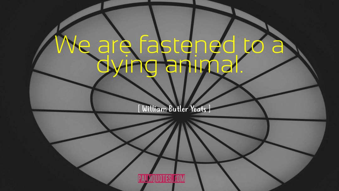 William Butler Yeats Quotes: We are fastened to a