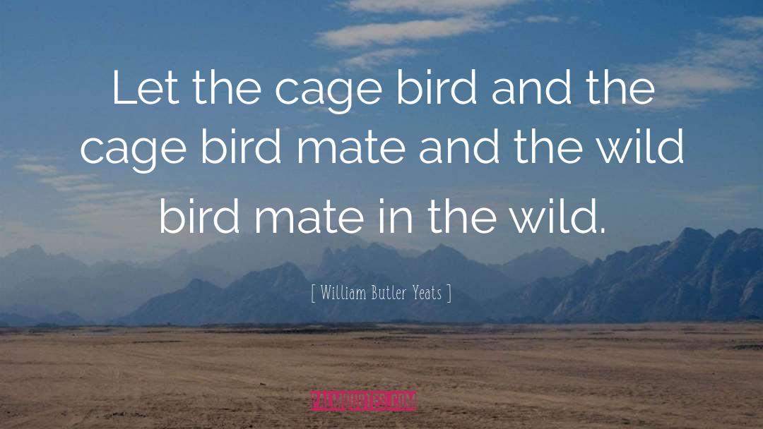 William Butler Yeats Quotes: Let the cage bird and