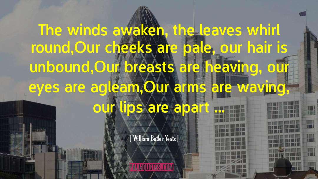 William Butler Yeats Quotes: The winds awaken, the leaves