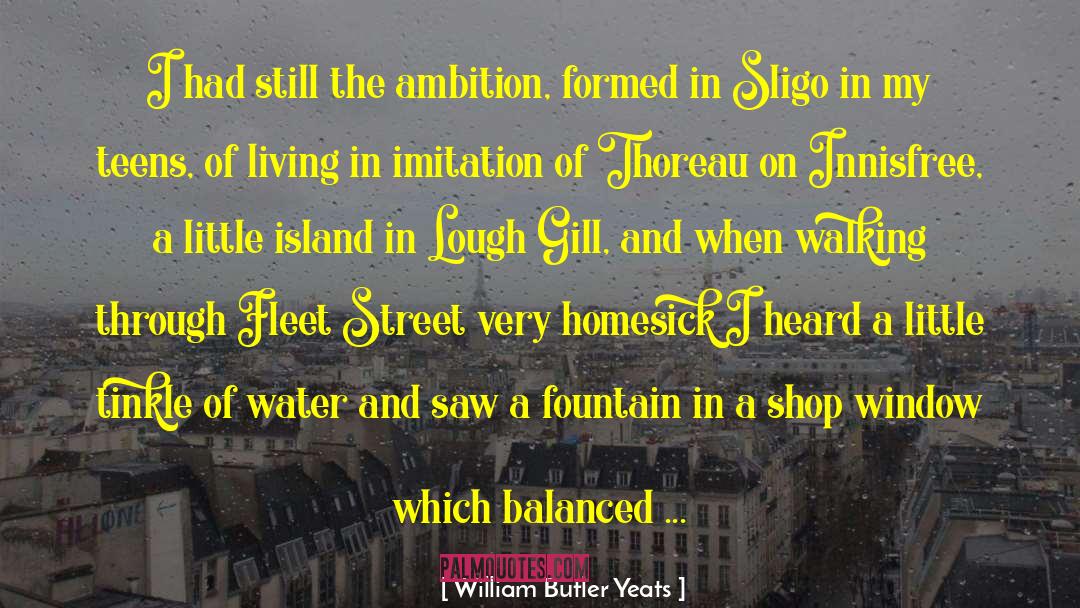 William Butler Yeats Quotes: I had still the ambition,