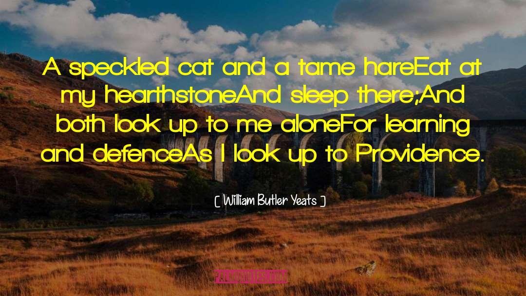 William Butler Yeats Quotes: A speckled cat and a