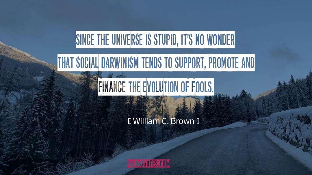 William C. Brown Quotes: Since the universe is stupid,