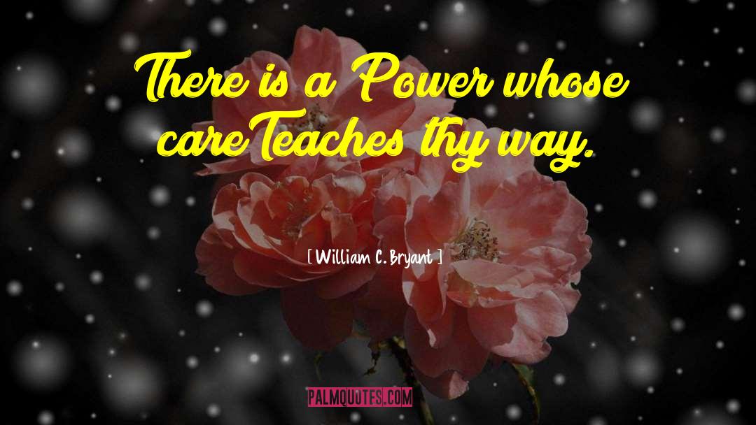 William C. Bryant Quotes: There is a Power whose