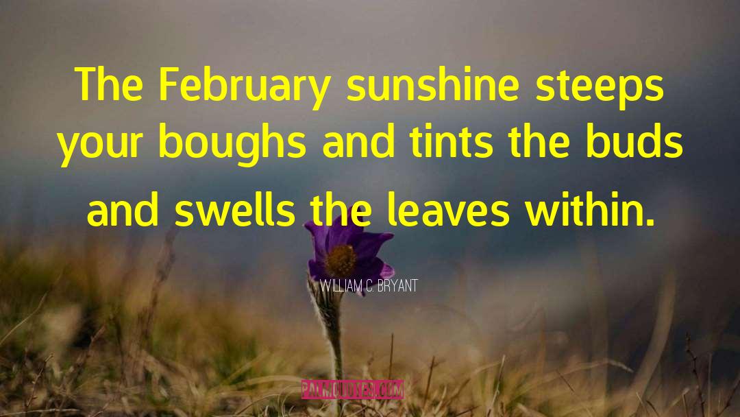 William C. Bryant Quotes: The February sunshine steeps your
