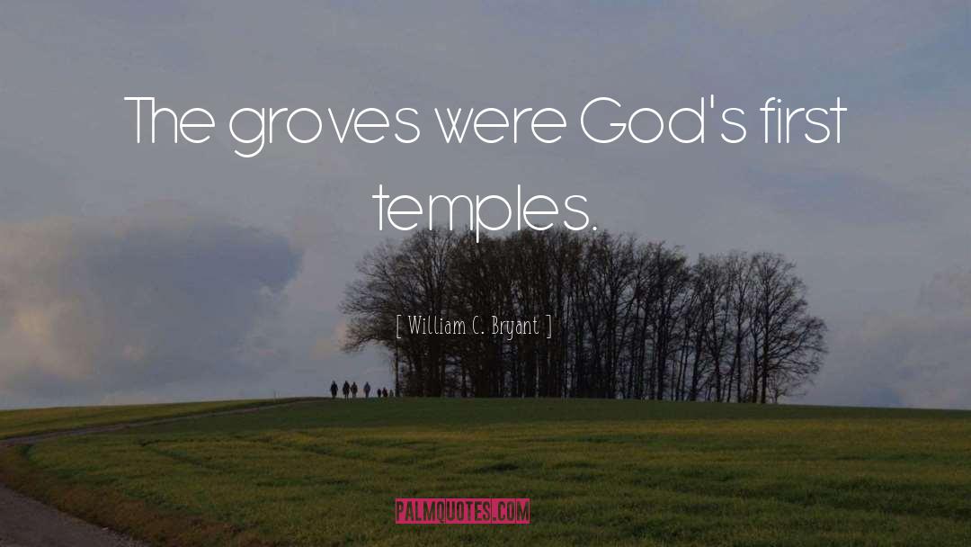 William C. Bryant Quotes: The groves were God's first