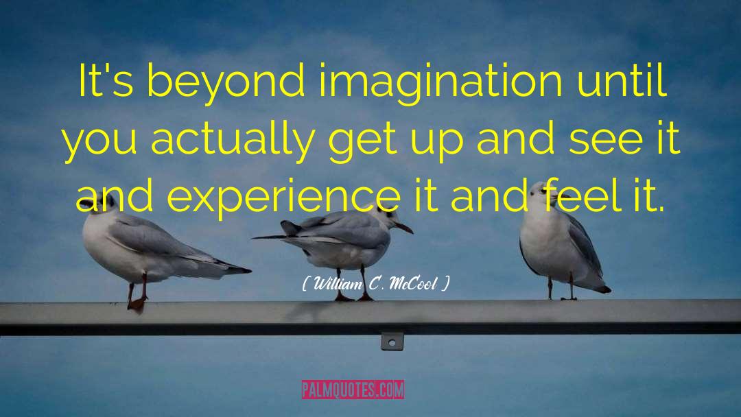 William C. McCool Quotes: It's beyond imagination until you