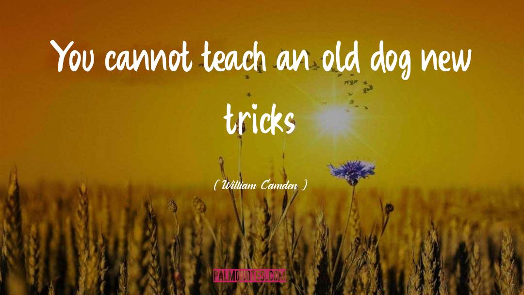 William Camden Quotes: You cannot teach an old