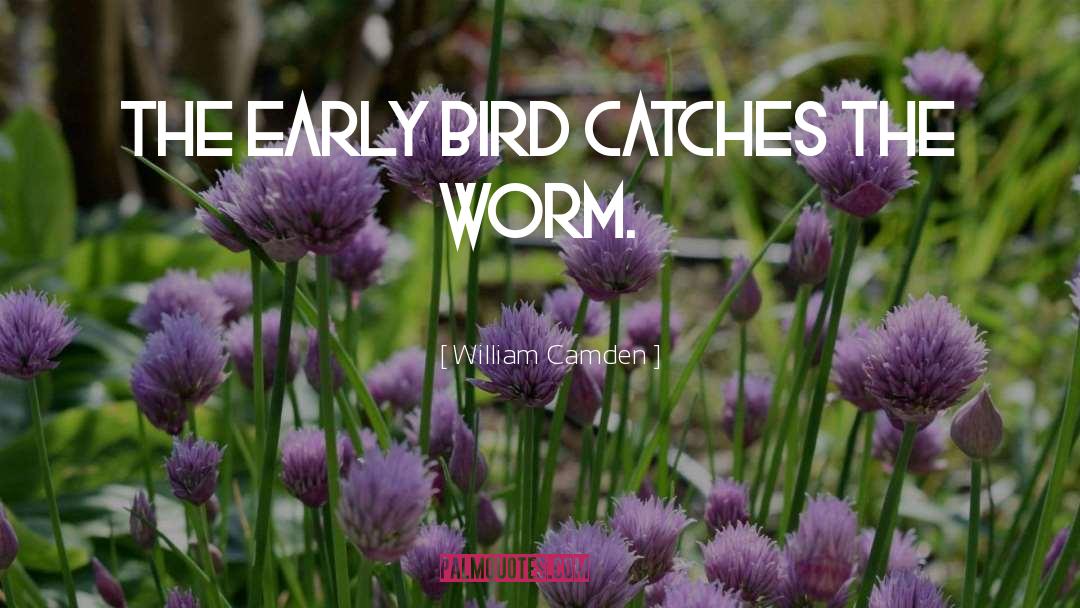 William Camden Quotes: The early bird catches the