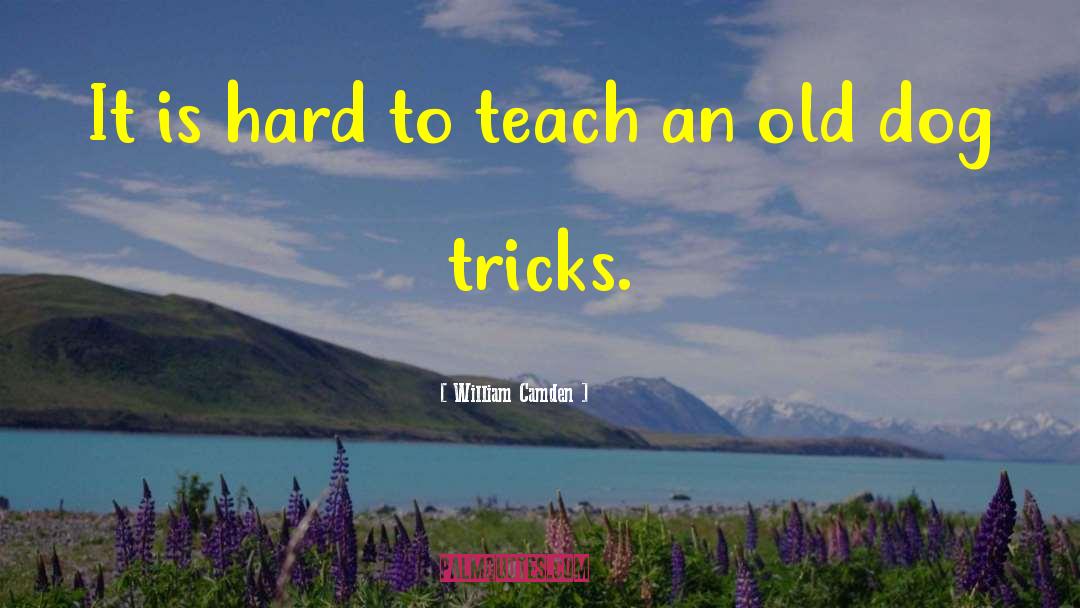 William Camden Quotes: It is hard to teach