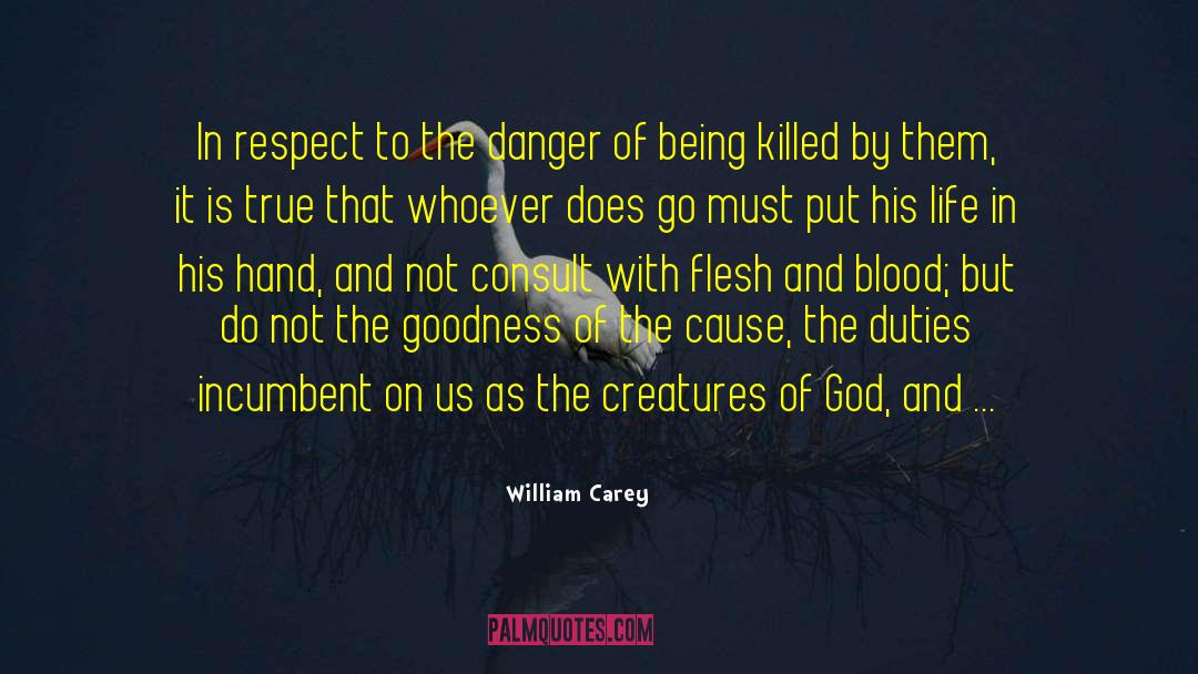 William Carey Quotes: In respect to the danger
