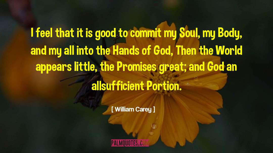 William Carey Quotes: I feel that it is