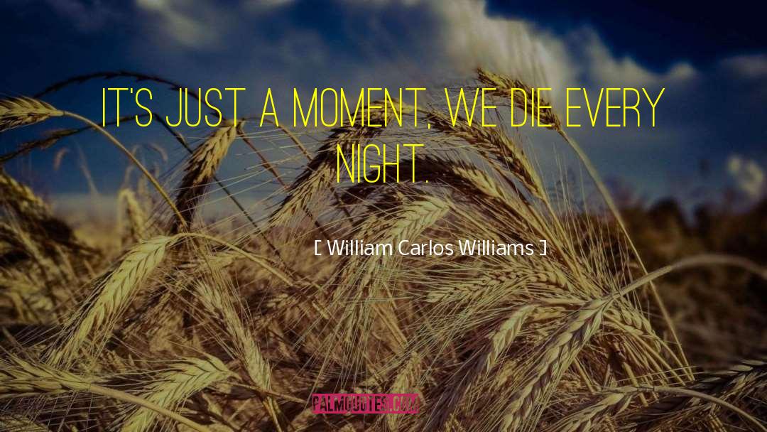 William Carlos Williams Quotes: It's just a moment, we