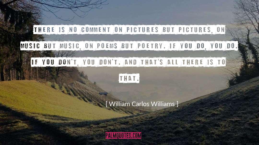 William Carlos Williams Quotes: There is no comment on