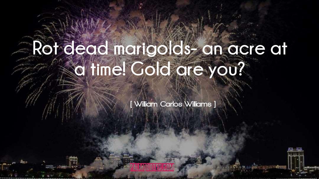 William Carlos Williams Quotes: Rot dead marigolds- an acre