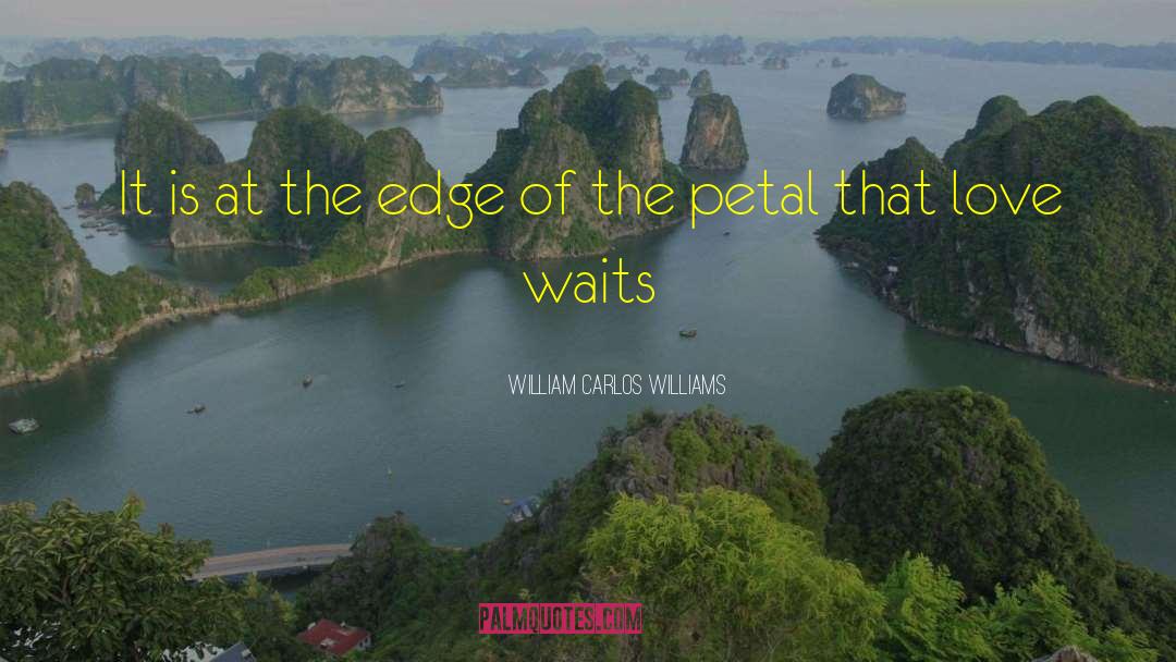 William Carlos Williams Quotes: It is at the edge