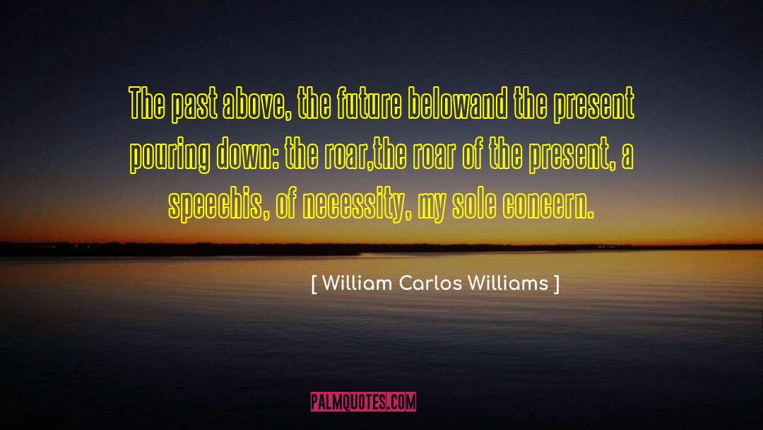 William Carlos Williams Quotes: The past above, the future