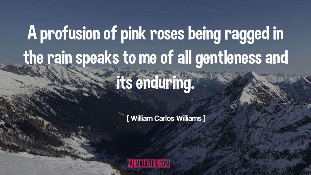 William Carlos Williams Quotes: A profusion of pink roses