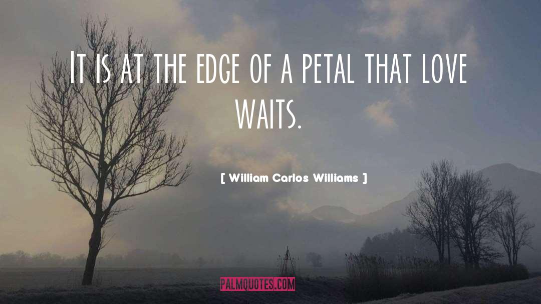 William Carlos Williams Quotes: It is at the edge