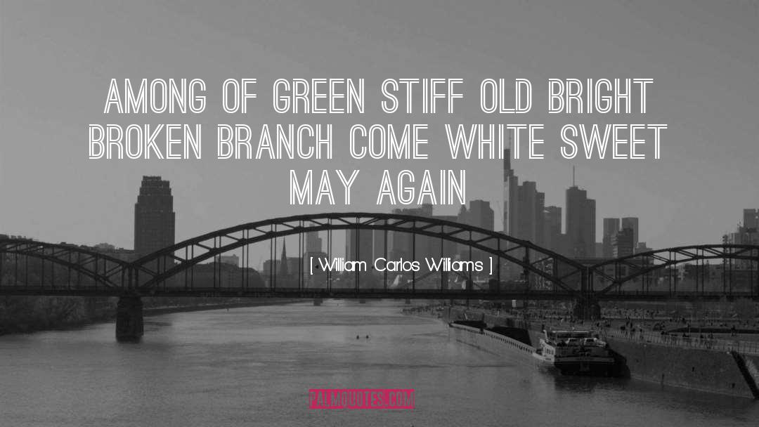 William Carlos Williams Quotes: Among of green stiff old