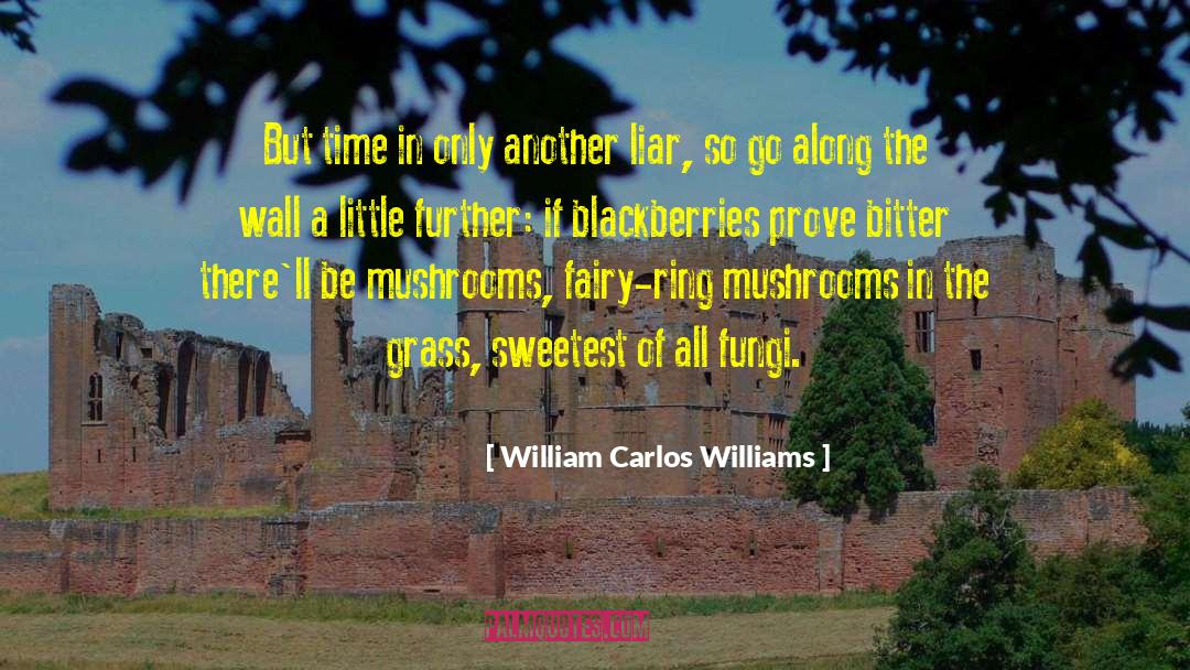 William Carlos Williams Quotes: But time in only another