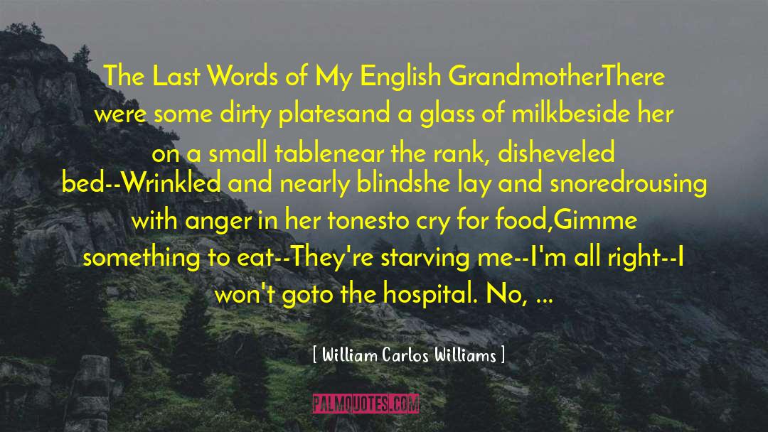 William Carlos Williams Quotes: The Last Words of My