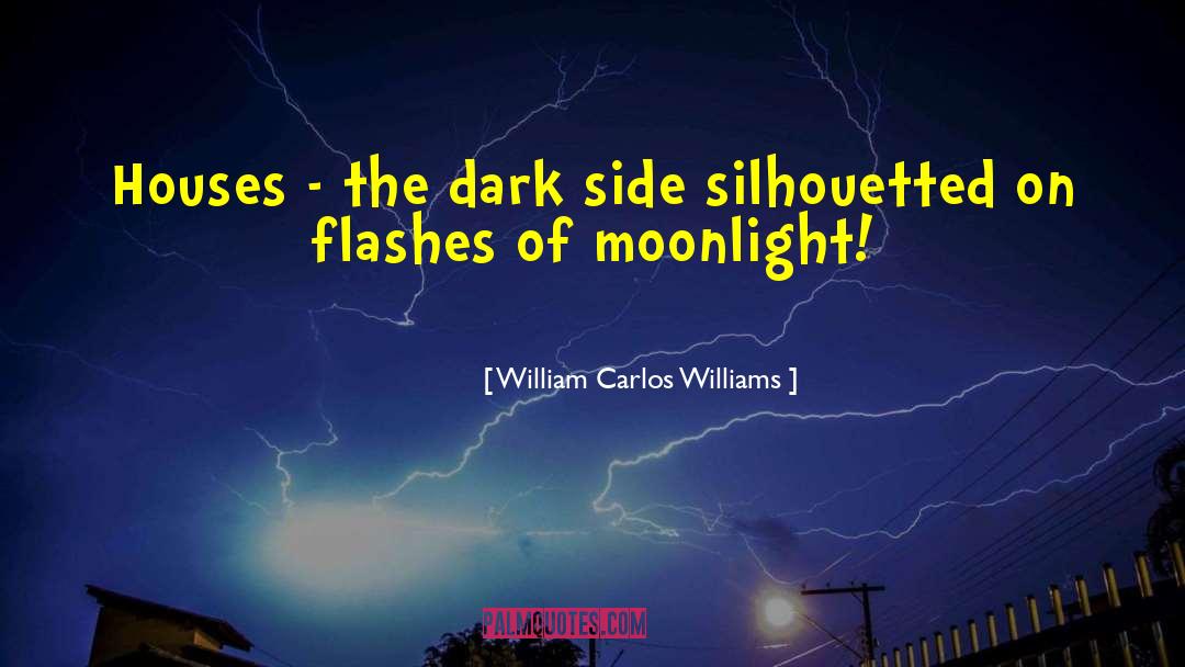 William Carlos Williams Quotes: Houses - the dark side