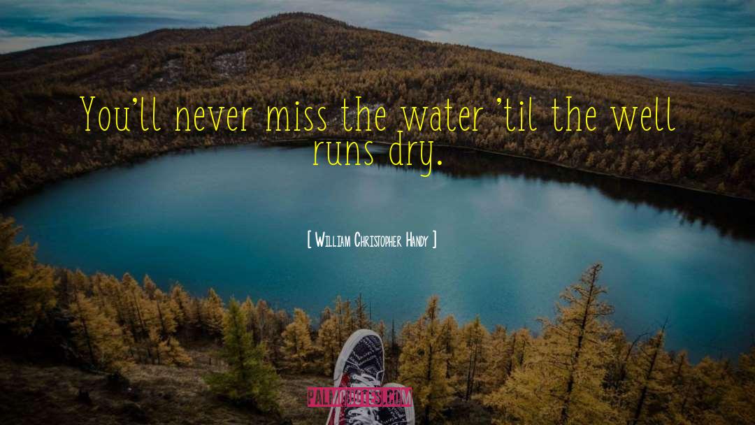 William Christopher Handy Quotes: You'll never miss the water