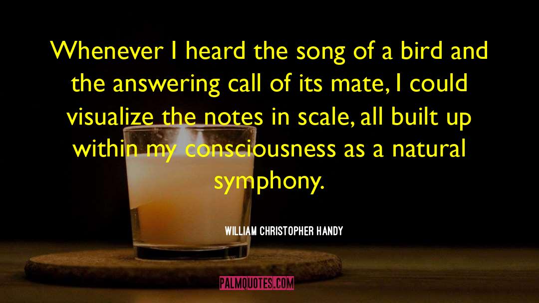 William Christopher Handy Quotes: Whenever I heard the song