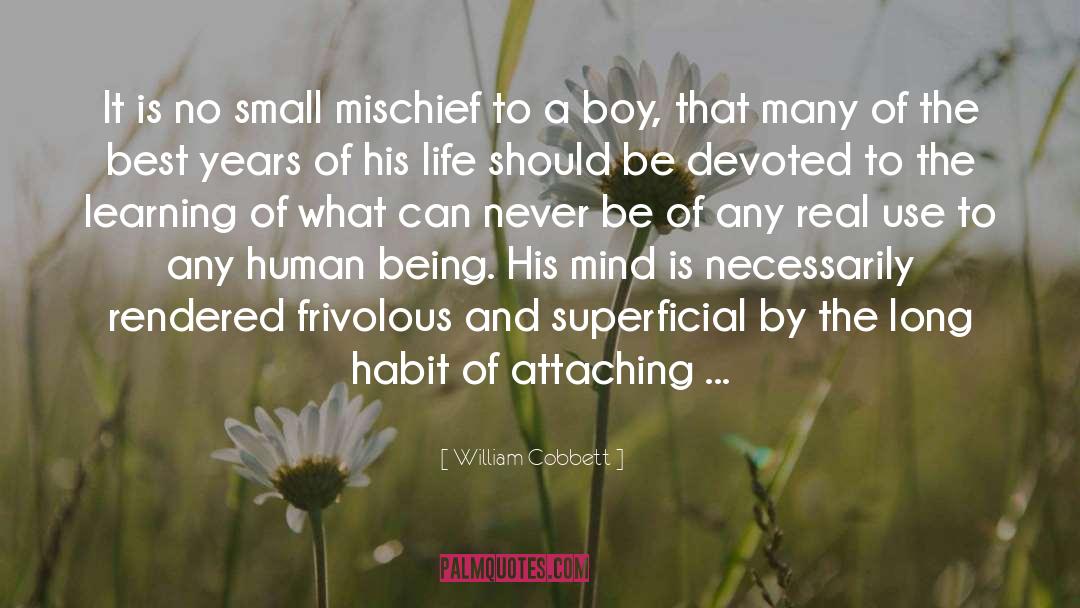 William Cobbett Quotes: It is no small mischief