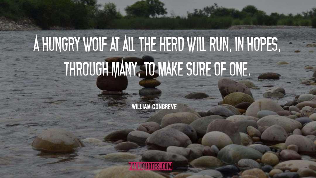 William Congreve Quotes: A hungry wolf at all
