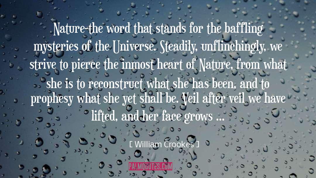 William Crookes Quotes: Nature-the word that stands for