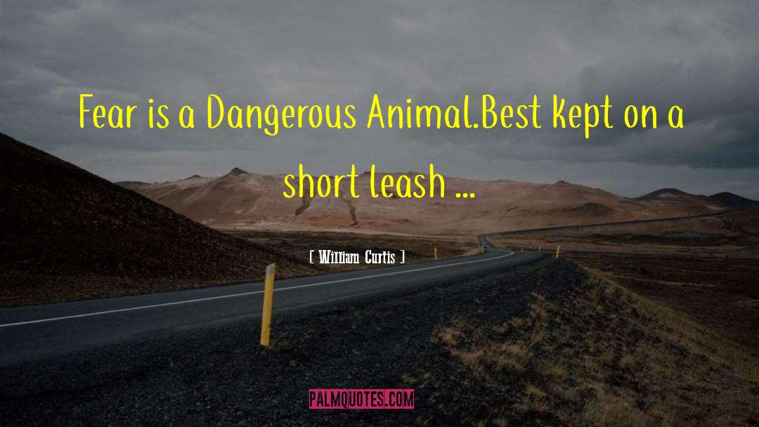 William Curtis Quotes: Fear is a Dangerous Animal.<br>Best