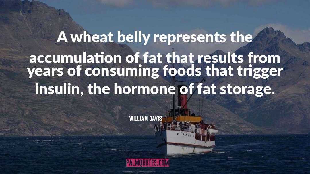 William Davis Quotes: A wheat belly represents the