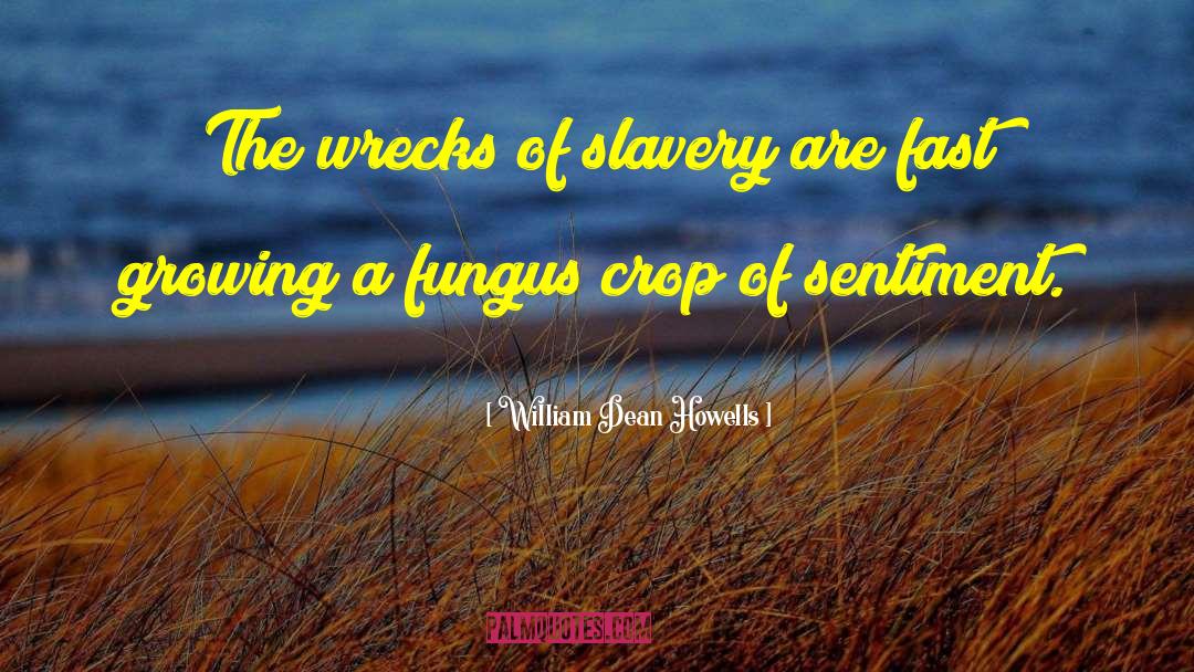 William Dean Howells Quotes: The wrecks of slavery are