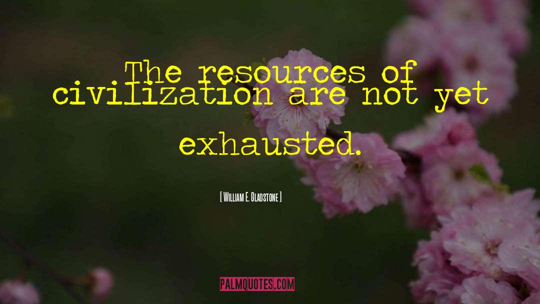 William E. Gladstone Quotes: The resources of civilization are