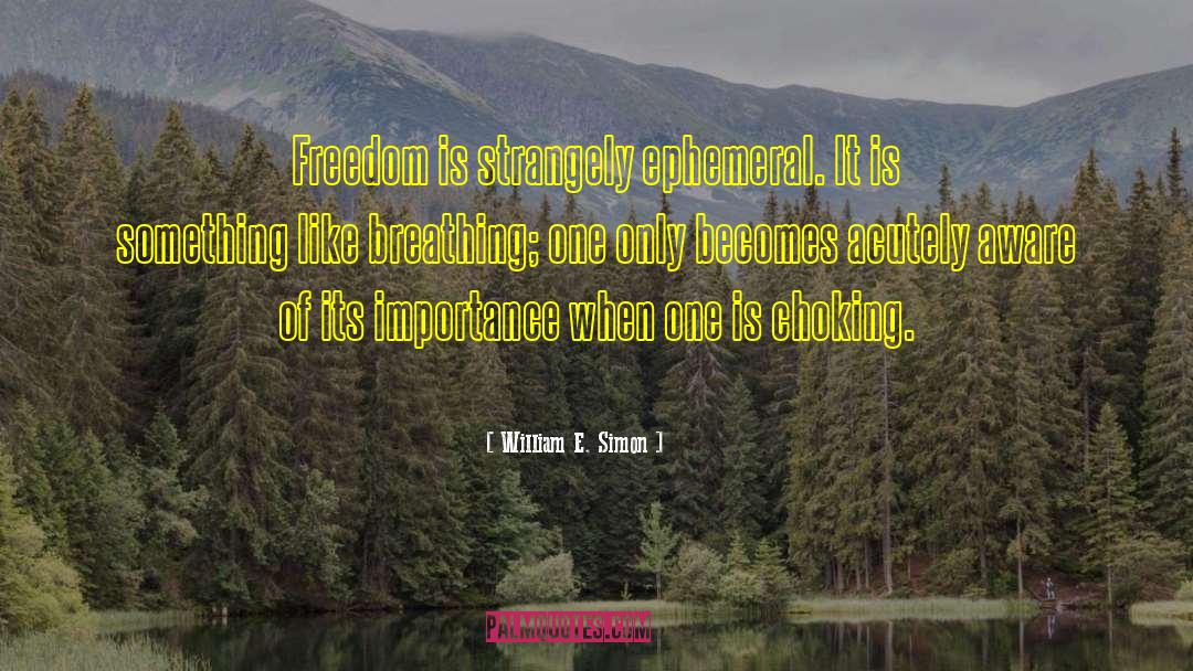 William E. Simon Quotes: Freedom is strangely ephemeral. It