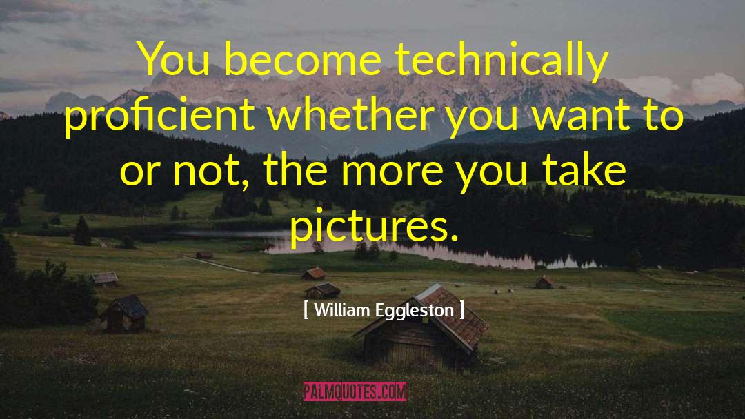 William Eggleston Quotes: You become technically proficient whether