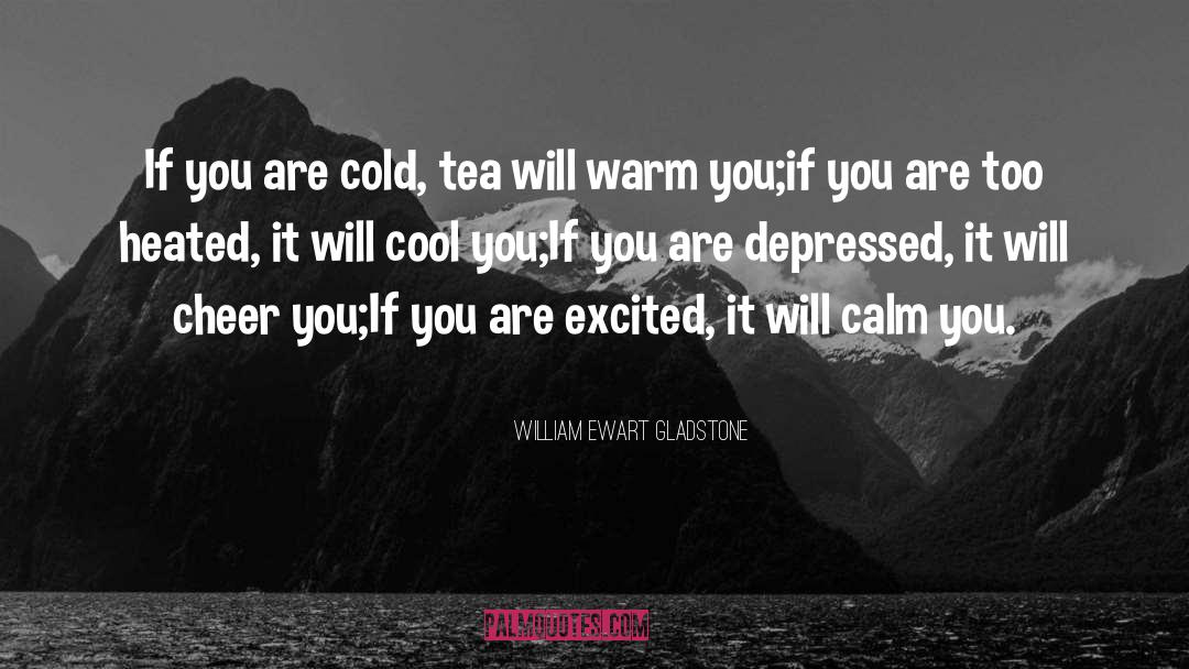William Ewart Gladstone Quotes: If you are cold, tea
