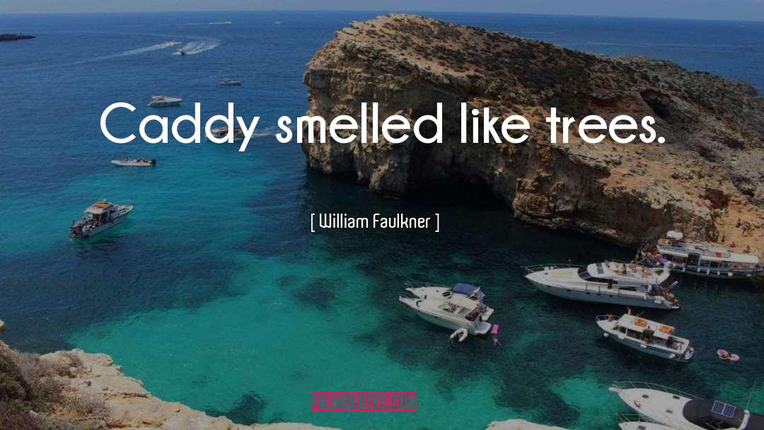William Faulkner Quotes: Caddy smelled like trees.