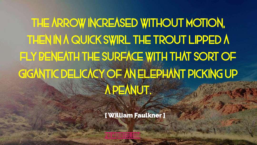 William Faulkner Quotes: The arrow increased without motion,