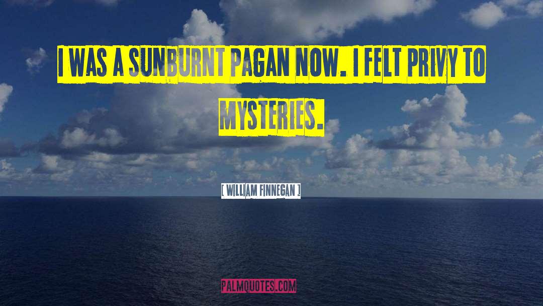 William Finnegan Quotes: I was a sunburnt pagan