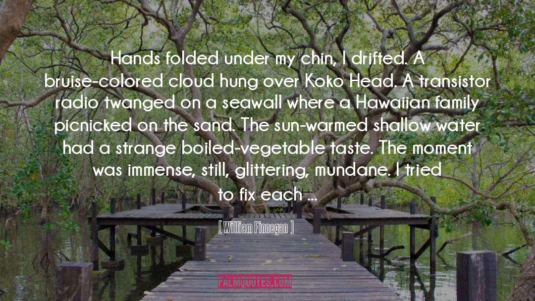 William Finnegan Quotes: Hands folded under my chin,
