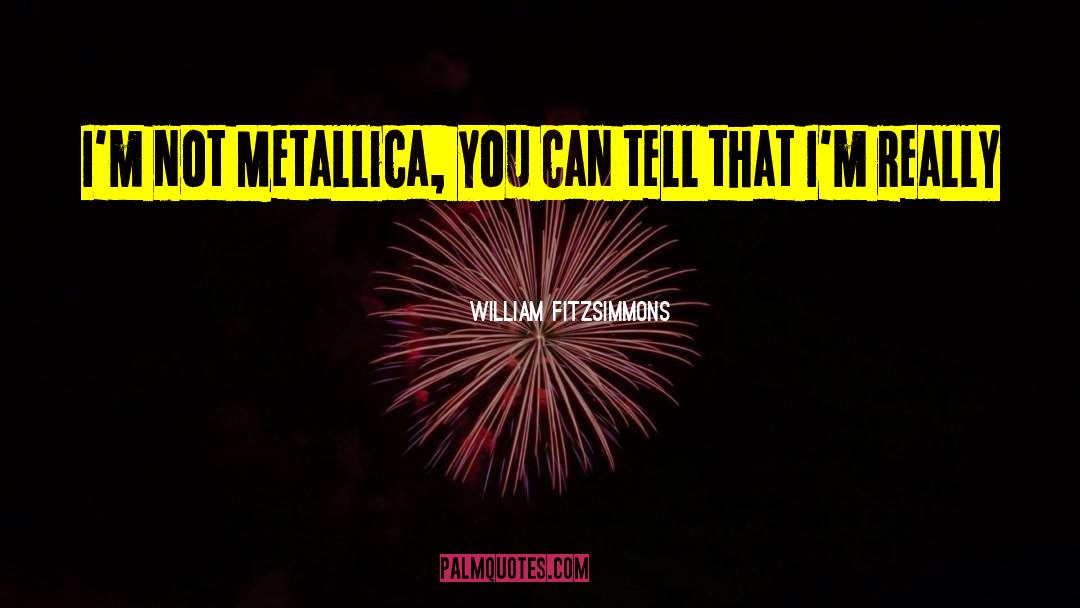 William Fitzsimmons Quotes: I'm not Metallica, you can