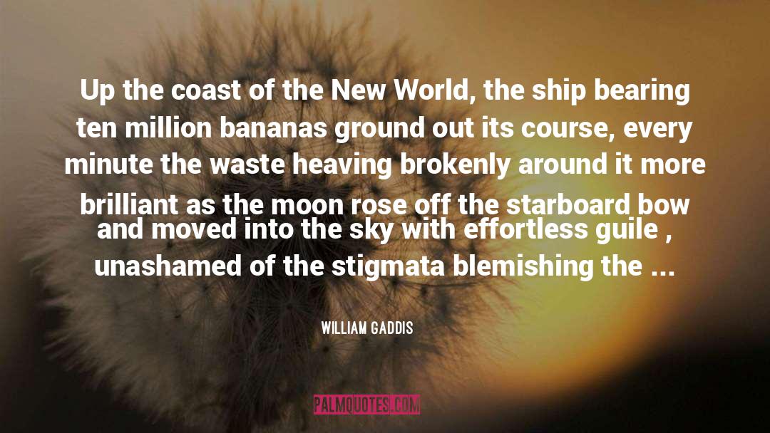 William Gaddis Quotes: Up the coast of the